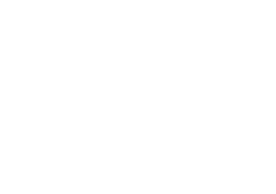 Wanzek logo